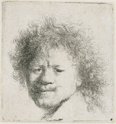 Självporträtt med långt, fylligt hår: endast huvudet av Rembrandt van Rijn