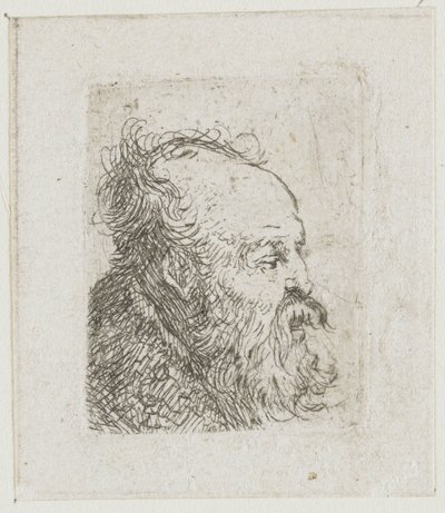 Samling av studier av mäns huvuden: gammal skäggig man, nästan i profil åt höger: munnen halvöppen av Rembrandt van Rijn