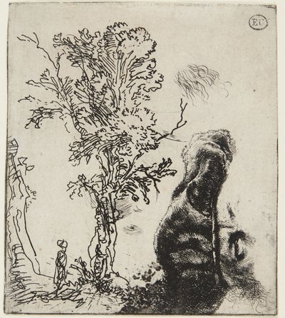 Ark med två studier: Ett träd och den övre delen av ett självporträtt med en sammetsmössa av Rembrandt van Rijn