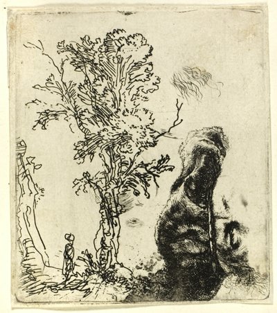 Ark med två studier: ett träd och den övre delen av huvudet på konstnären som bär en sammetsmössa av Rembrandt van Rijn