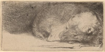 sovande valp av Rembrandt van Rijn