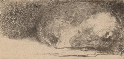 sovande valp, c. 1640. av Rembrandt van Rijn