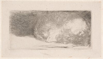 Sovande valp av Rembrandt van Rijn