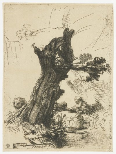 St Jerome bredvid en pil av Rembrandt van Rijn