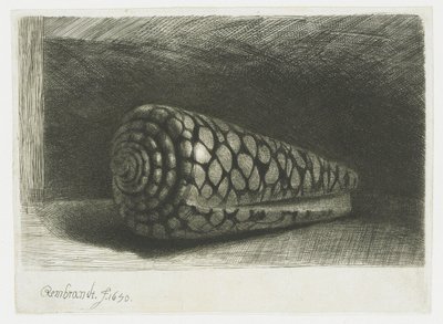 Skalet av Rembrandt van Rijn