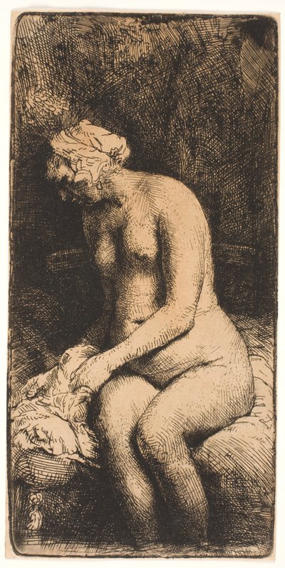 swedish av Rembrandt van Rijn