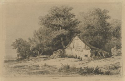 swedish av Remigius Adrianus Haanen