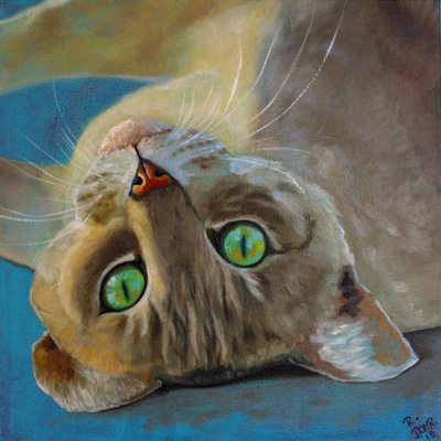 Kattlycka av Renate Dohr