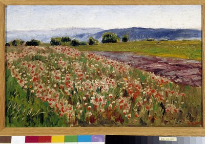 Vallmofältet (målning) av Rene Auguste Seyssaud