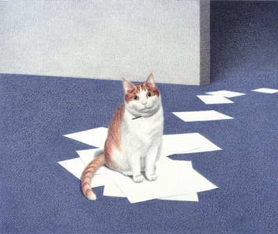Tidningar av Rene Boin