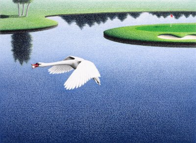 Swanlake av Rene Boin