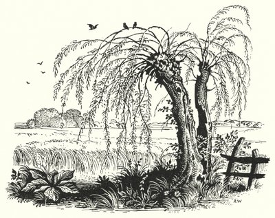 HC Andersen: Bovetet (litho) av Rex (after) Whistler