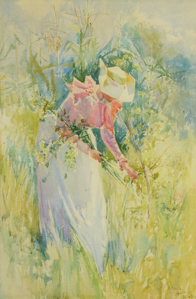 Plocka vildblommor 1900 (akvarell på papper) av Rhoda Holmes Nicholls