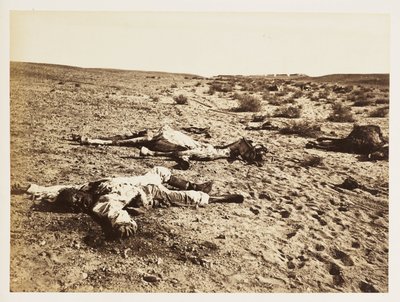 Död soldat i Tel-el-Kebir, Egypten, 6 december 1882 av John Pardon