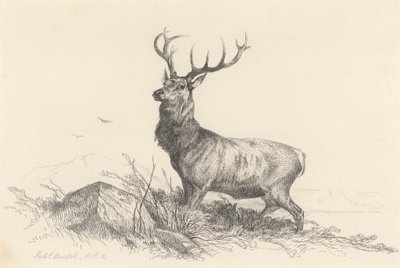 Vakten av Richard Ansdell