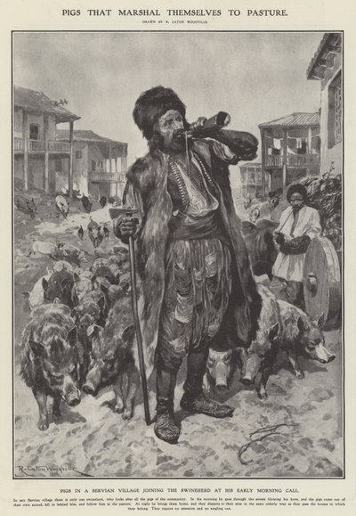 Grisar som drar sig till bete (litho) av Richard Caton II (after) Woodville