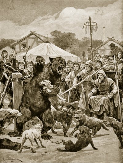 Bear Baiting in Saxon Times, illustration från 