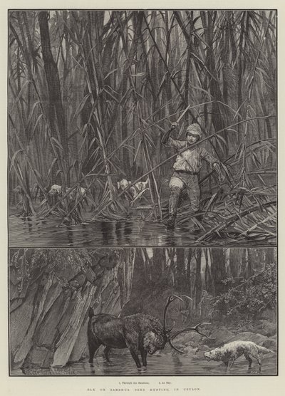 Älg- eller Sambhur-hjortjakt, i Ceylon av Richard Caton Woodville junior