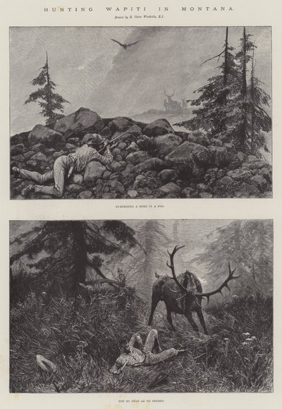 Jagar Wapiti i Montana av Richard Caton Woodville junior