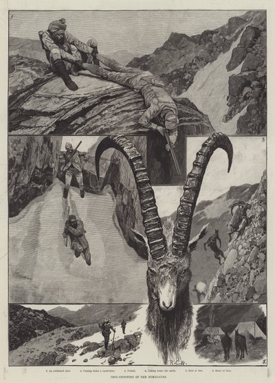 Ibex-Shooting in the Himalaya gravyr av Richard Caton Woodville junior