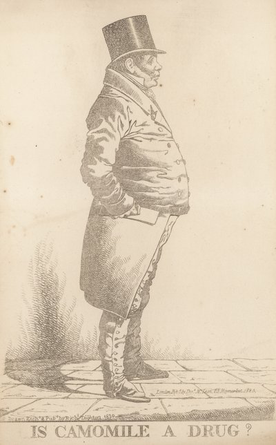 Herr Bowden, är kamomill en drog? av Richard Dighton