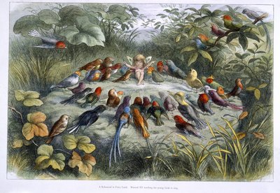 En tomte och fåglar av Richard Doyle