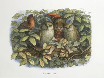 Tomte och ugglor av Richard Doyle