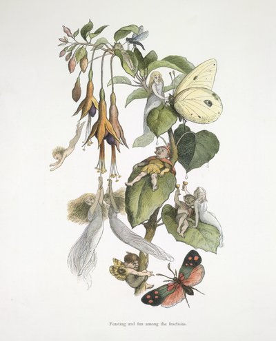 Fest och kul bland fuschiorna av Richard Doyle