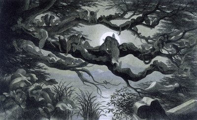 Feer, nymfer och tomtar som vilar i månskenet på en gren? Illustration av ""In Fairyland. En serie bilder från elf - världen"" av Richard Doyle 1869-1870 The British Library Institution Referens: Hyllmärke ID: 1876 e18 