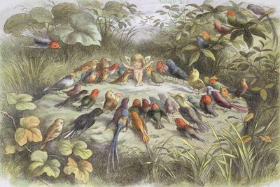Musikrepetition i fairy land (illustration från "In fairy land. Pictures from the fairy world", av William Allingham och Andrew Lang av Richard Doyle