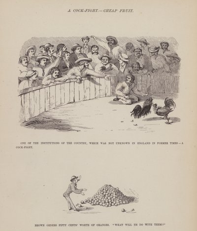 Sida från Brown, Jones och Robinsons amerikanska resa (gravyr) av Richard Doyle