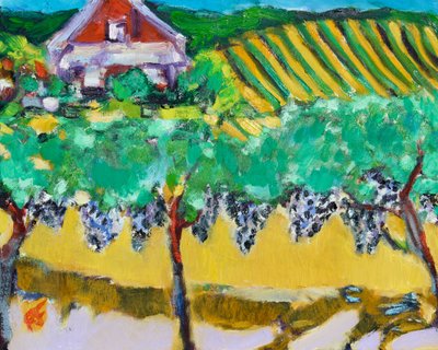 Merlot druvor, Napa, 2017 av Richard Fox