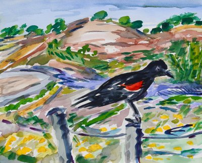 Perched, 2021 (akvarell på papper) av Richard Fox