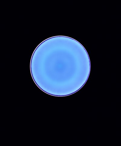 Circle X, 2005 (digitalt fotogram av c-typ) av Richard Green