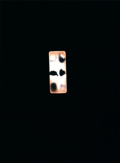 Namnlös, 2004 (unikt fotogram av c-typ) av Richard Green