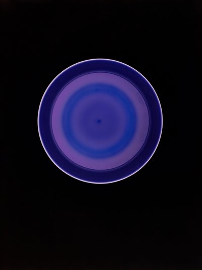 Utan titel, 2004 av Richard Green