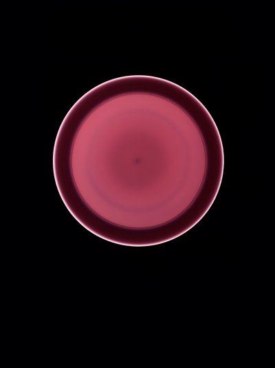 Utan titel, 2004 av Richard Green