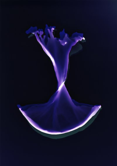 Utan titel, 2004 av Richard Green