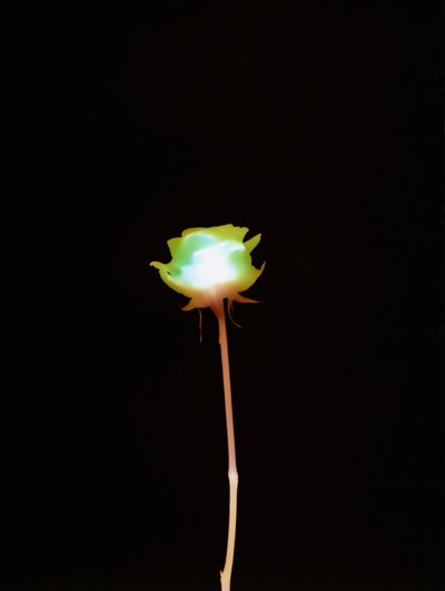 Utan titel, 2007 av Richard Green