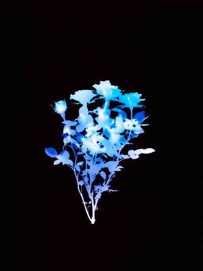 Utan titel, 2008 av Richard Green