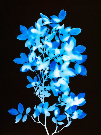 Utan titel, 2008 av Richard Green