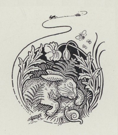 Haren och sköldpaddan (gravyr) av Richard Heighway