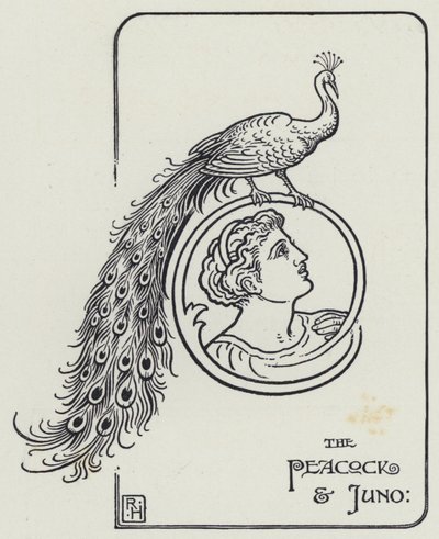 Påfågeln och Juno (gravyr) av Richard Heighway