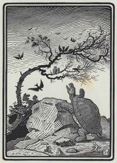 Sköldpaddan och fåglarna (gravyr) av Richard Heighway