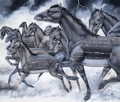 Hästar i miniatyr, från "Djur från förr av Richard Hook