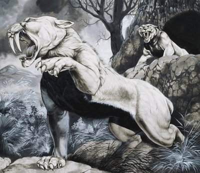 Sabeltandade tigrar (gouache på papper) av Richard Hook