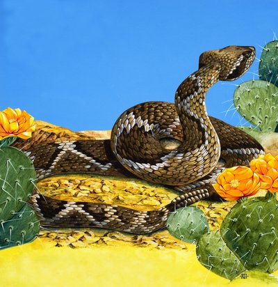 Skallerormens varning, ur "Once Upon a Time" (gouache på papper) av Richard Hook