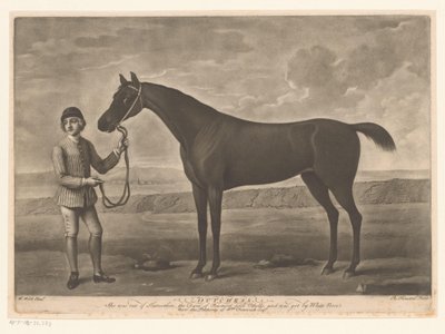 Racepaard med jockey holländare av Richard Houston