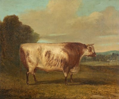En tjur, 1862 av Richard Whitford