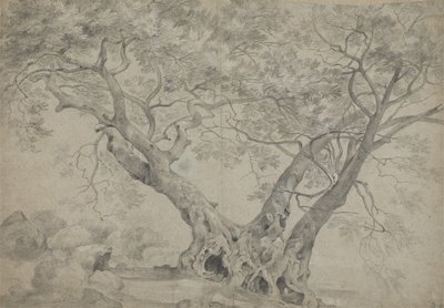 Arbra Sacra på stranden av Lake Nemi, ca 1754-56 (svartvit krita på papper) av Richard Wilson